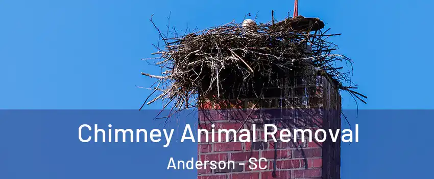 Chimney Animal Removal Anderson - SC