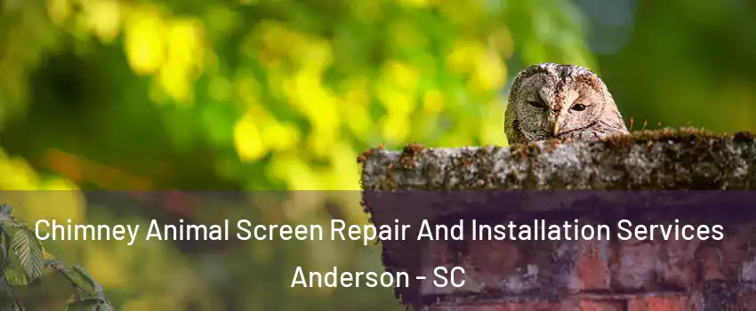  Chimney Animal Screen Repair And Installation Services Anderson - SC