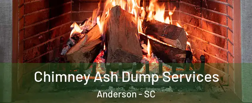  Chimney Ash Dump Services Anderson - SC