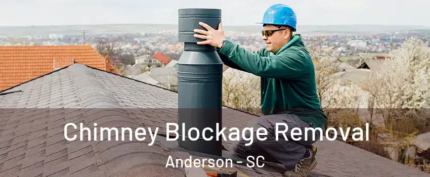  Chimney Blockage Removal Anderson - SC