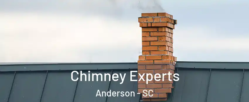 Chimney Experts Anderson - SC