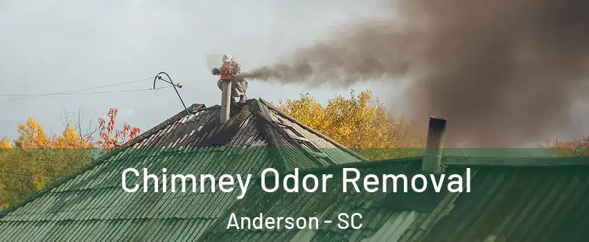  Chimney Odor Removal Anderson - SC