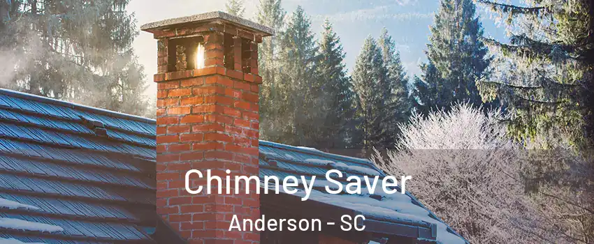  Chimney Saver Anderson - SC