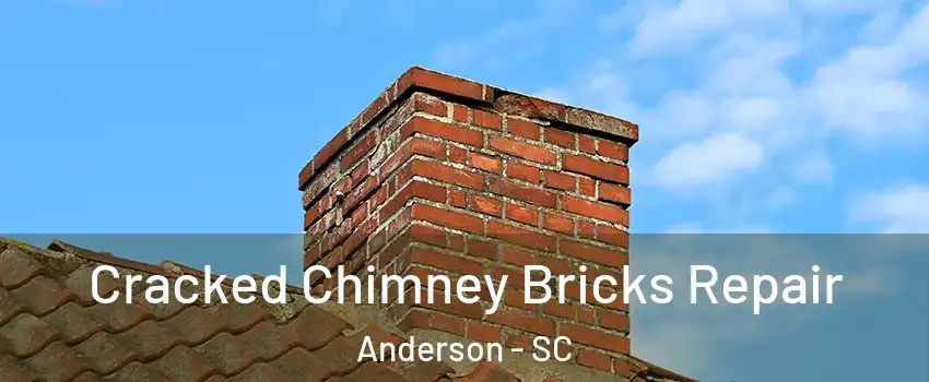  Cracked Chimney Bricks Repair Anderson - SC