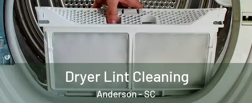  Dryer Lint Cleaning Anderson - SC