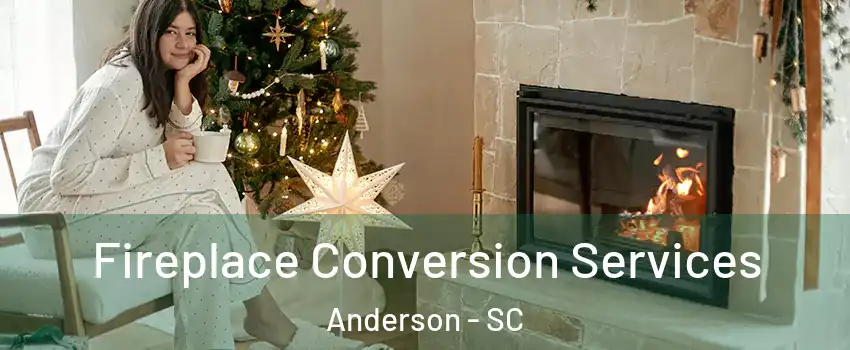  Fireplace Conversion Services Anderson - SC