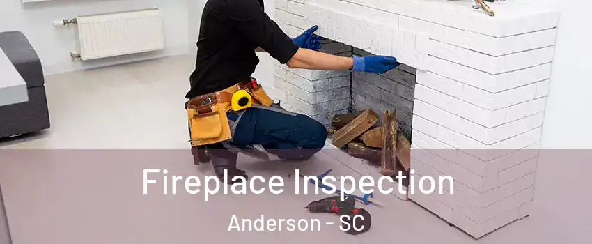  Fireplace Inspection Anderson - SC