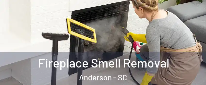  Fireplace Smell Removal Anderson - SC