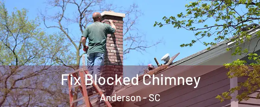  Fix Blocked Chimney Anderson - SC