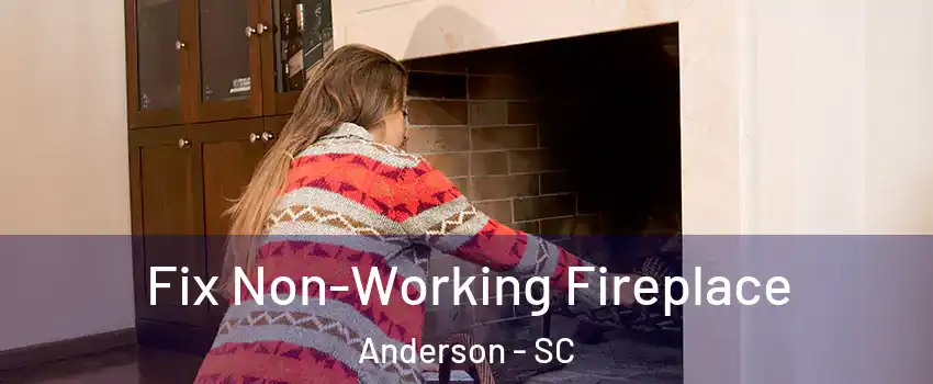  Fix Non-Working Fireplace Anderson - SC