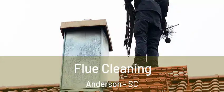  Flue Cleaning Anderson - SC