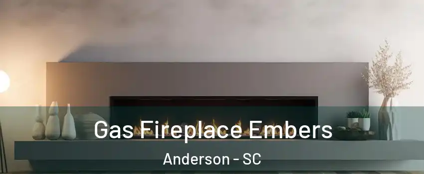  Gas Fireplace Embers Anderson - SC