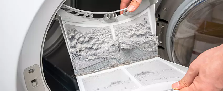 Best Dryer Lint Removal Company in Anderson, South Carolina