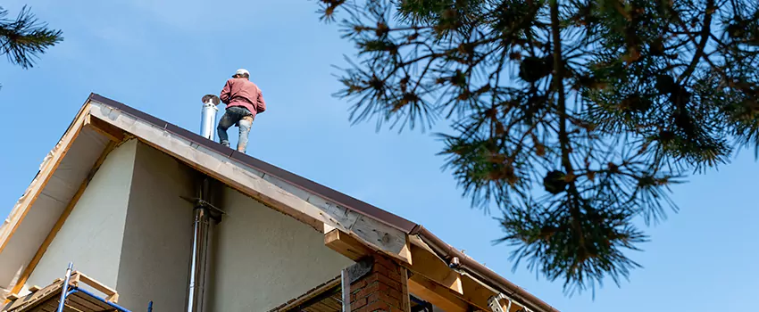 Birds Removal Contractors from Chimney in Anderson, SC