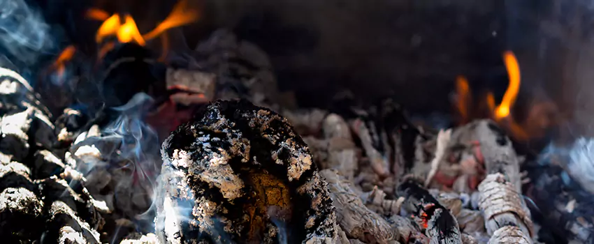 Creosote Removal Experts in Anderson, SC
