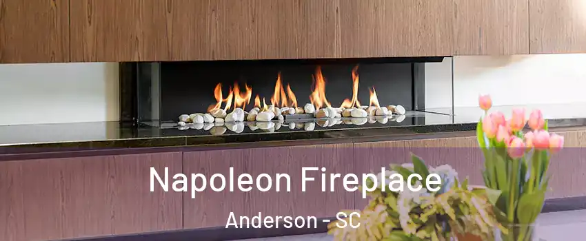  Napoleon Fireplace Anderson - SC