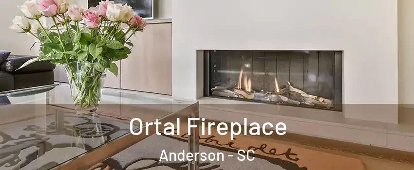 Ortal Fireplace Anderson - SC